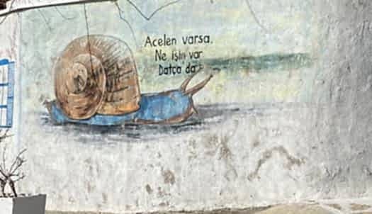 1 Mayıs Turları